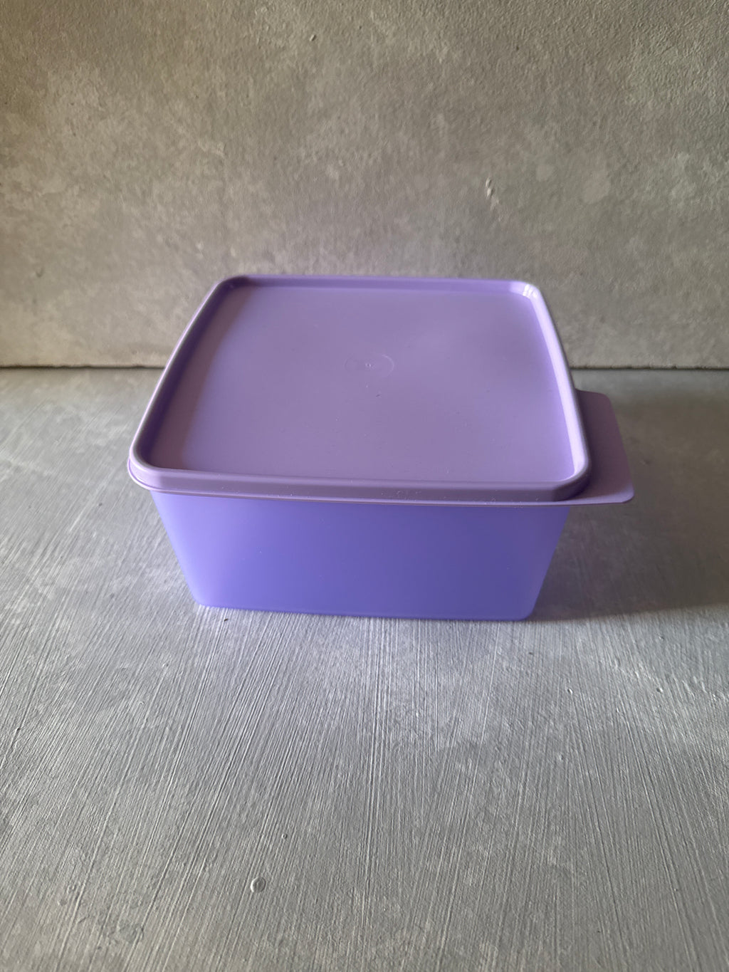 Cozy nest 2.5 liters