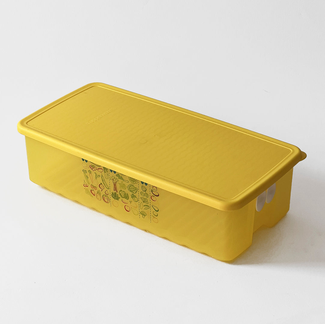 Fridge smart 2 liters