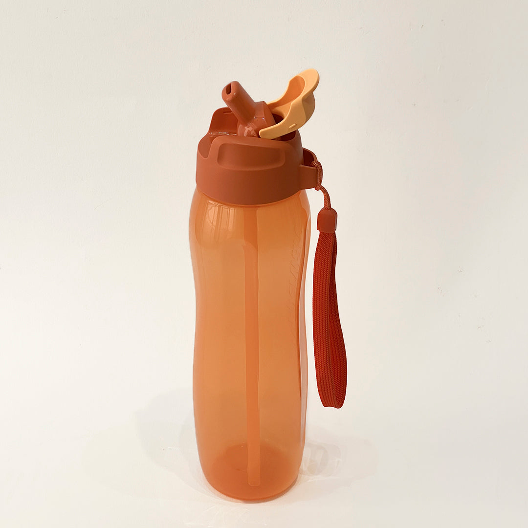 750 ml straw bottle + handle