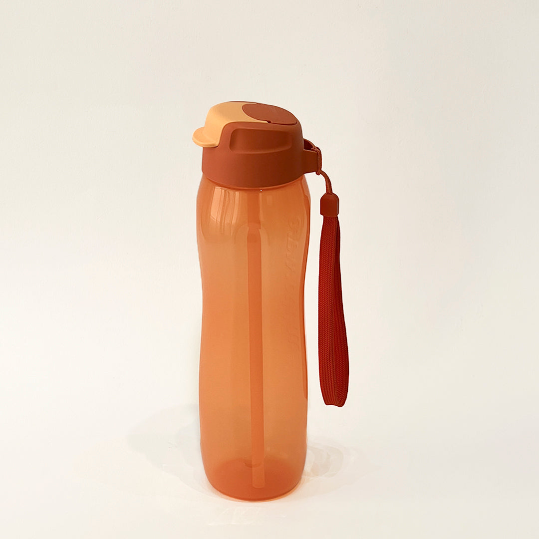 750 ml straw bottle + handle