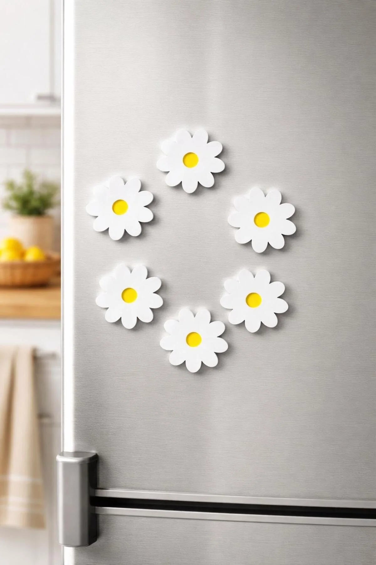 6-Piece Plastic Magnetic Daisy