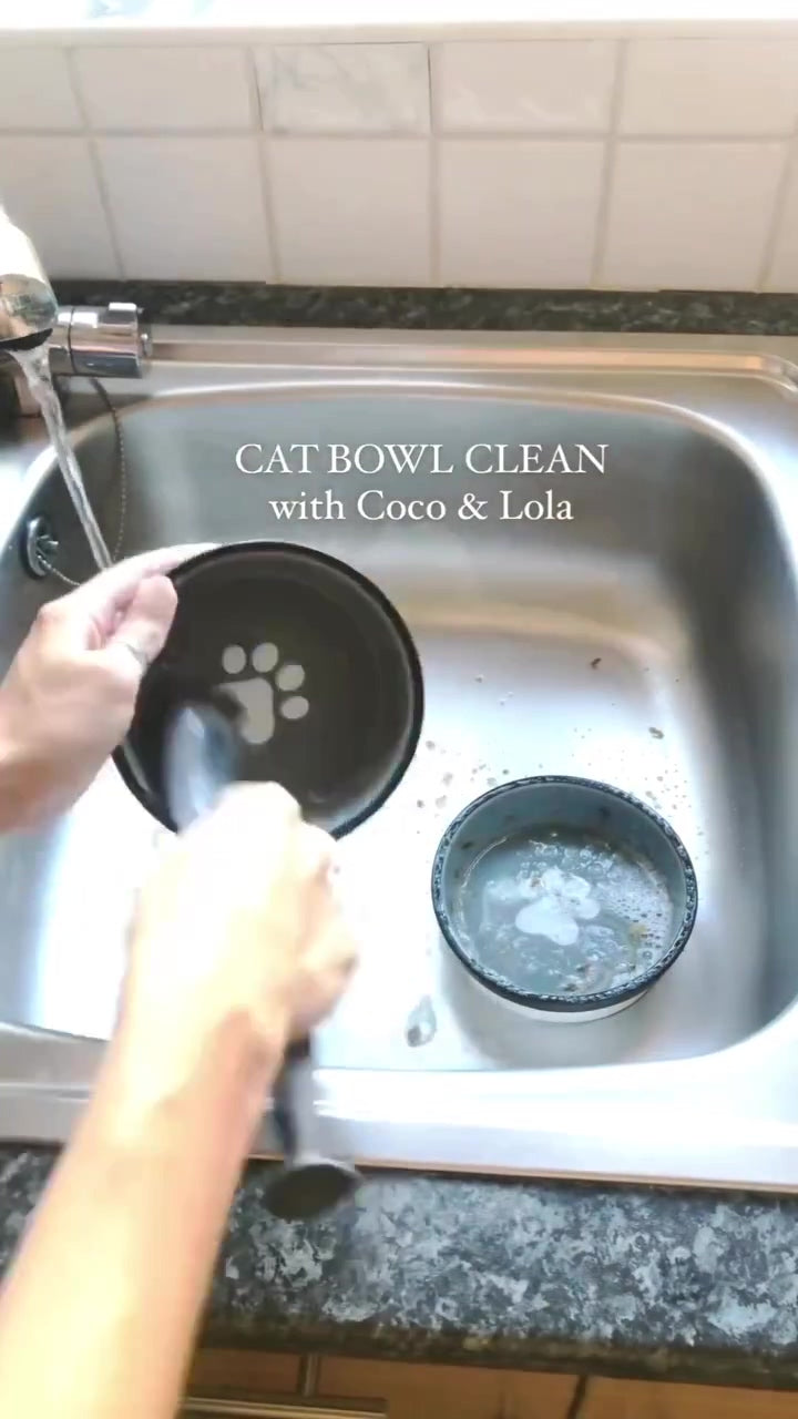 Coco Lola  Disinfectant Spray | for Pet Friendly Homes