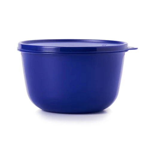 Tupperware 2 liters canister