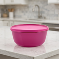Tupperware 1.5 liters canister