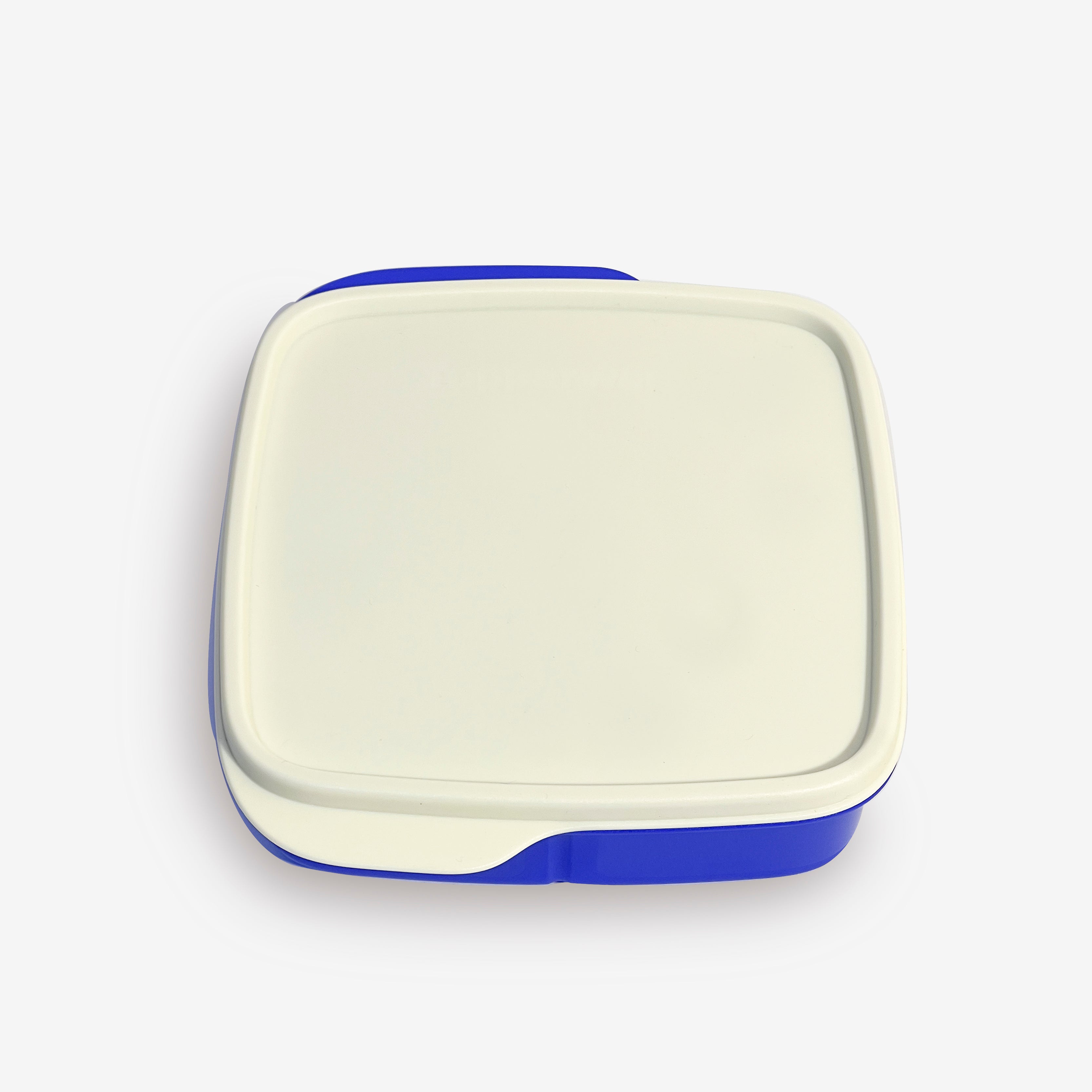 Divided 550 ml lunchbox - white lid